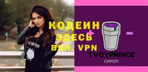 мдпв Щигры