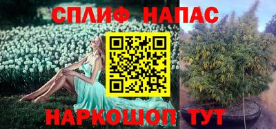 mdma Кингисепп