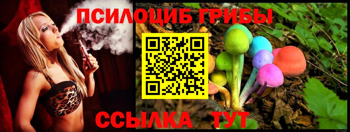 Псилоцибиновые грибы мухоморы  Вход с VPN  купить   Соль-Илецк 