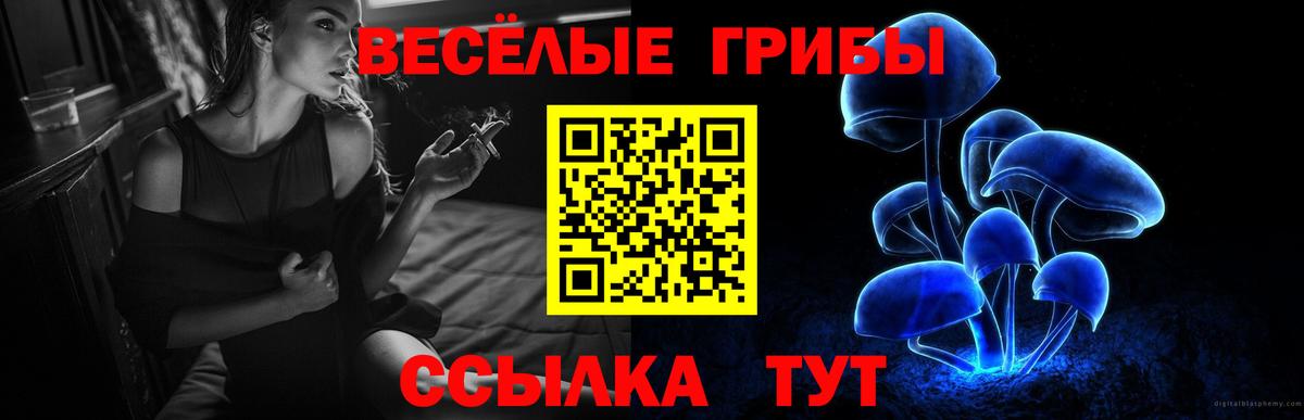Галлюциногенные грибы Cubensis Соль-Илецк